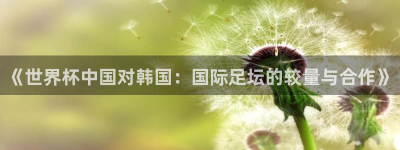 欧洲世界杯预选赛赛程:《世界杯中国对韩国:国际足坛的较量与合作》