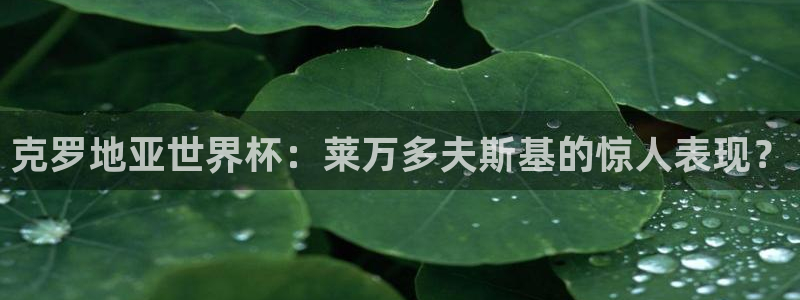 世界杯官网:克罗地亚世界杯:莱万多夫斯基的惊人表现?