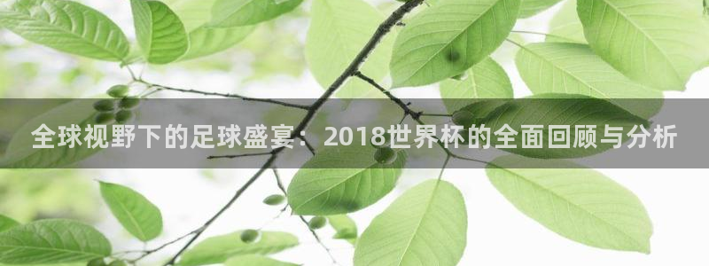 今年世界杯:全球视野下的足球盛宴:2018世界杯的全面回顾与分析