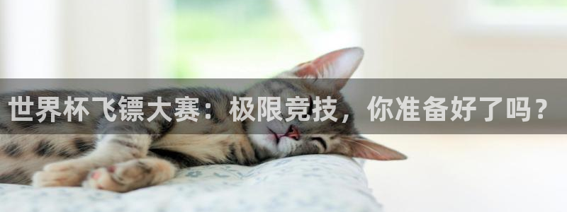 世预赛欧洲赛程表:世界杯飞镖大赛:极限竞技,你准备好了吗?