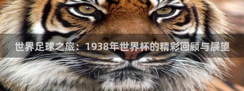 世预赛免费直播入口:世界足球之旅:1938年世界杯的精彩回顾与展望